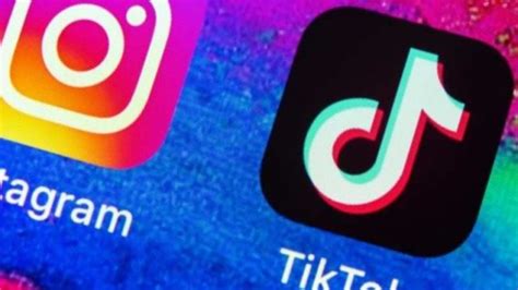 tgydispo instagram|TikTok.